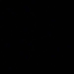 Meet your Posher, Ashlyn